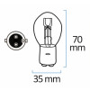 Ampoule Miniature S2