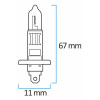 Lámpara Halógena H-1 KRAWEHL 12V 55W Caja