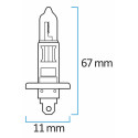 Lampes halogènes H-1 - Max Vision