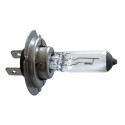 Halogen Lamps H-7 PX26d - Max Vision