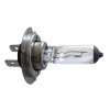 Halogen Bulb H-7  + 30% LIGHT