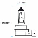 Lampes halogènes H-8 - KRAWEHL