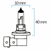 Ampoule Halogène H-10