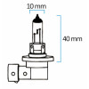 Lampes halogènes H-11 - KRAWEHL