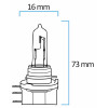 Lampes halogènes H-15 - KRAWEHL