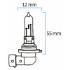 Lampes halogènes HB-3 - KRAWEHL