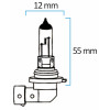 Lampes halogènes HB-4 Série 9006 - KRAWEHL