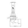 Ampoule Halogène HIR-2